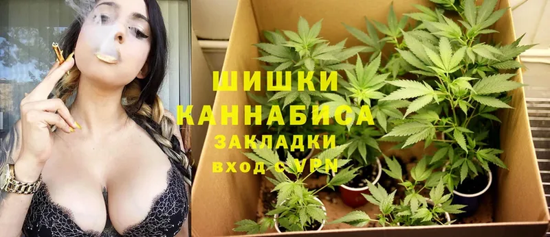 kraken как зайти  Воркута  Бошки Шишки White Widow  что такое наркотик 